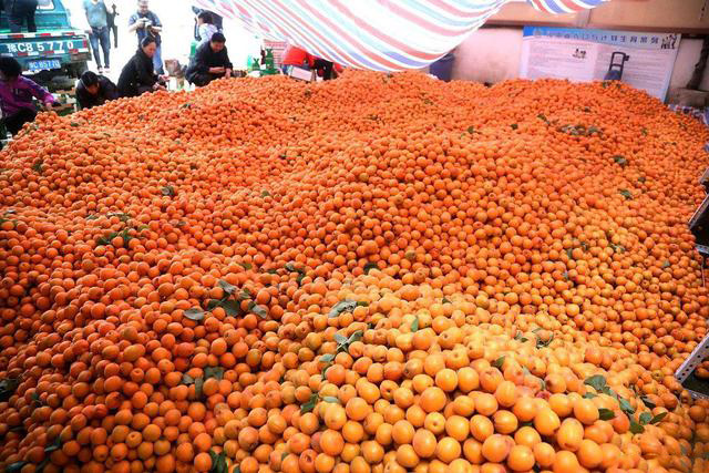 四、健康管理系统